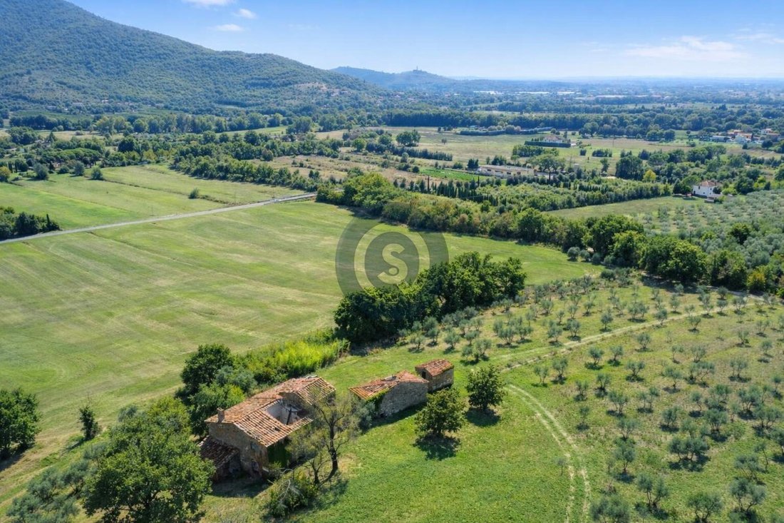 Maisons de campagne à Castiglion Fiorentino, Toscane, Italie 4 - 19137782