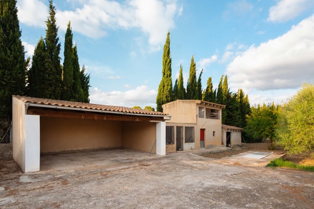 Finca in Palma, Balearische Inseln, Spanien 5 - 19138090