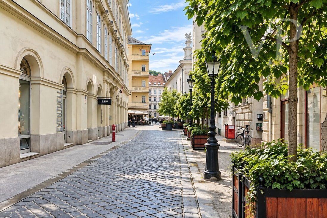 Wohnung in Budapest, Budapest, Ungarn 4 - 19138501