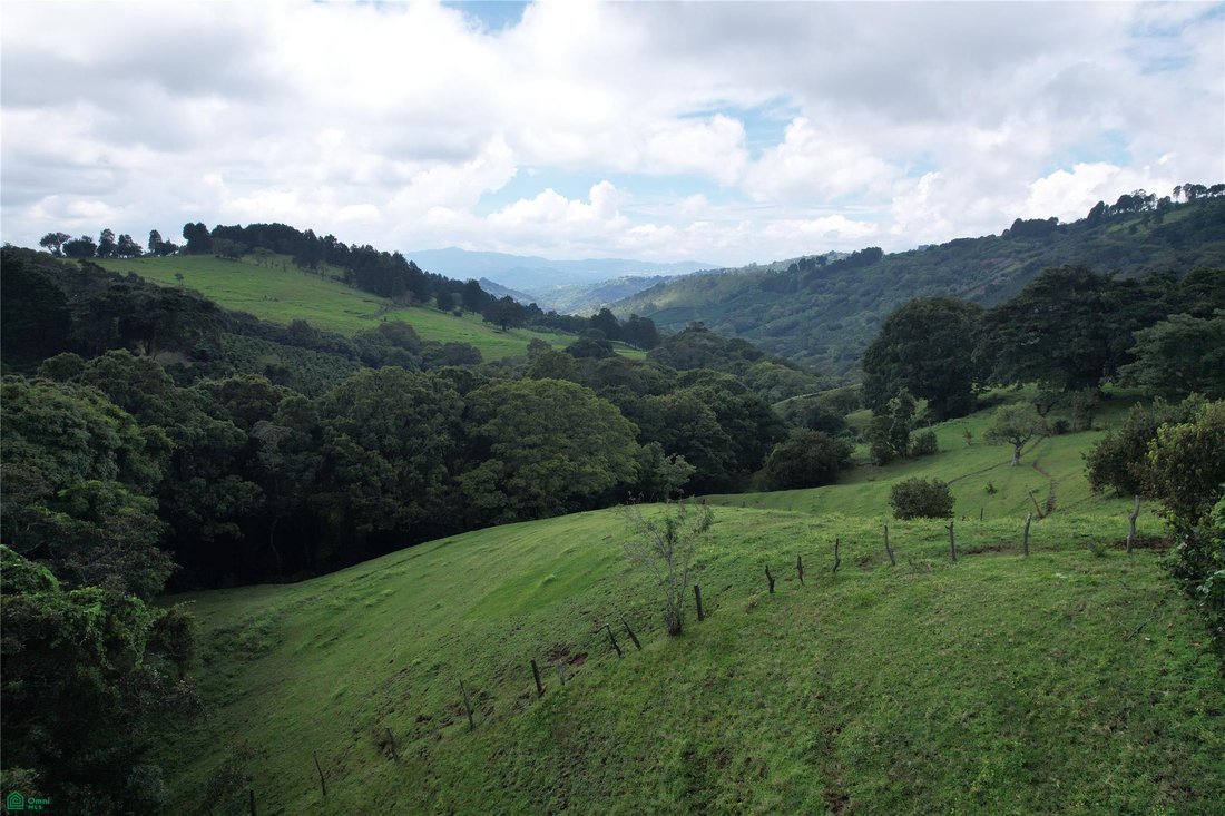 Terreno en Naranjo, Provincia de Alajuela, Costa Rica 2 - 19091897