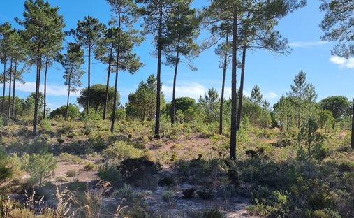 Terreno en Grandola y Santa Margarida da Serra, Setúbal Municipality, Portugal 1