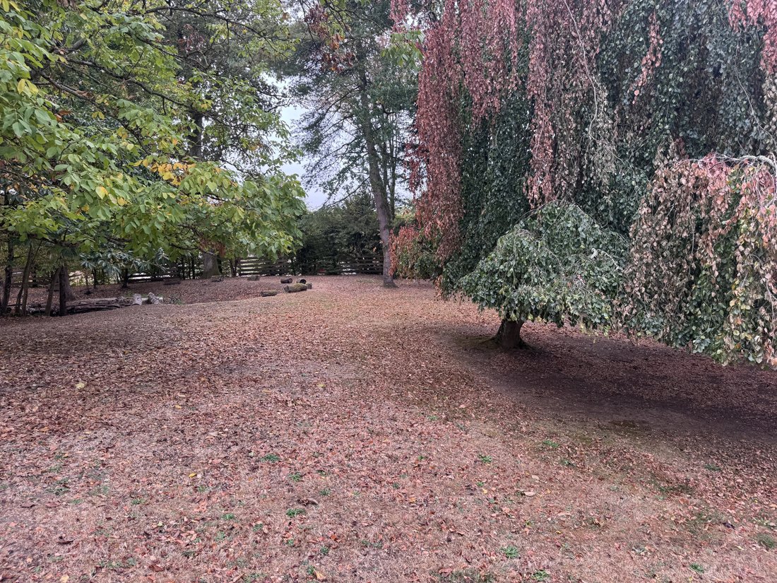 Estate in Chateaurenaud, Louhans-Châteaurenaud, France 4 - 18800224
