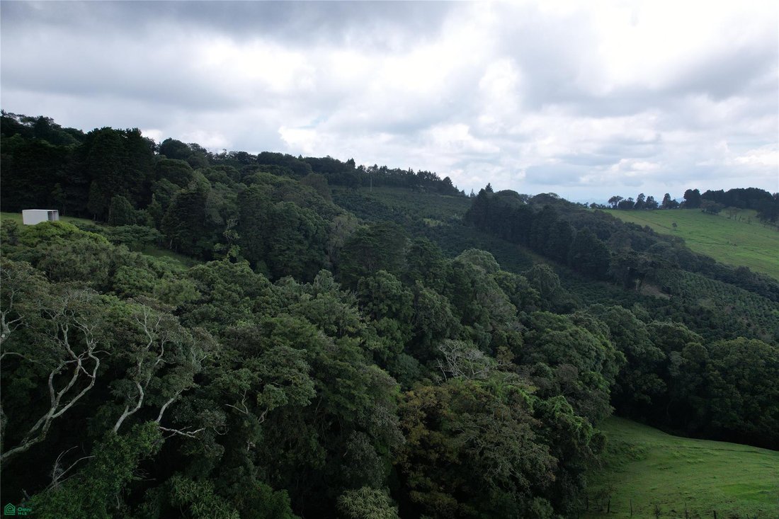 Terreno en Naranjo, Provincia de Alajuela, Costa Rica 1 - 19091897