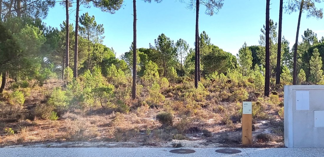 Terreno a Grandola e Santa Margarida da Serra, Setúbal Municipality, Portogallo 1 - 19138362