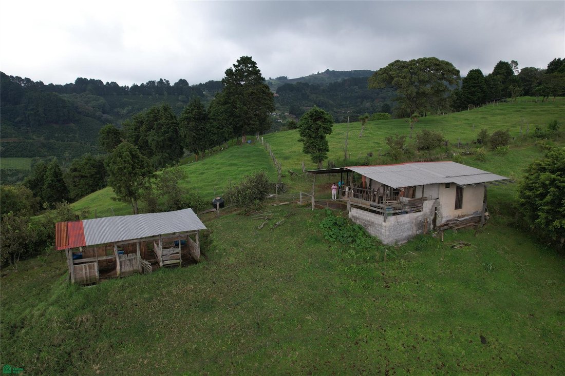 Terreno en Naranjo, Provincia de Alajuela, Costa Rica 4 - 19091897