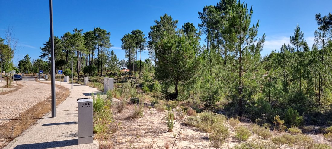 Land in Grandola e Santa Margarida da Serra, Setubal, Portugal 1 - 19138347