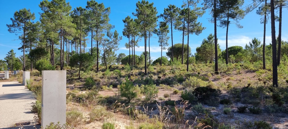 Land in Grandola e Santa Margarida da Serra, Setubal, Portugal 1 - 19138368