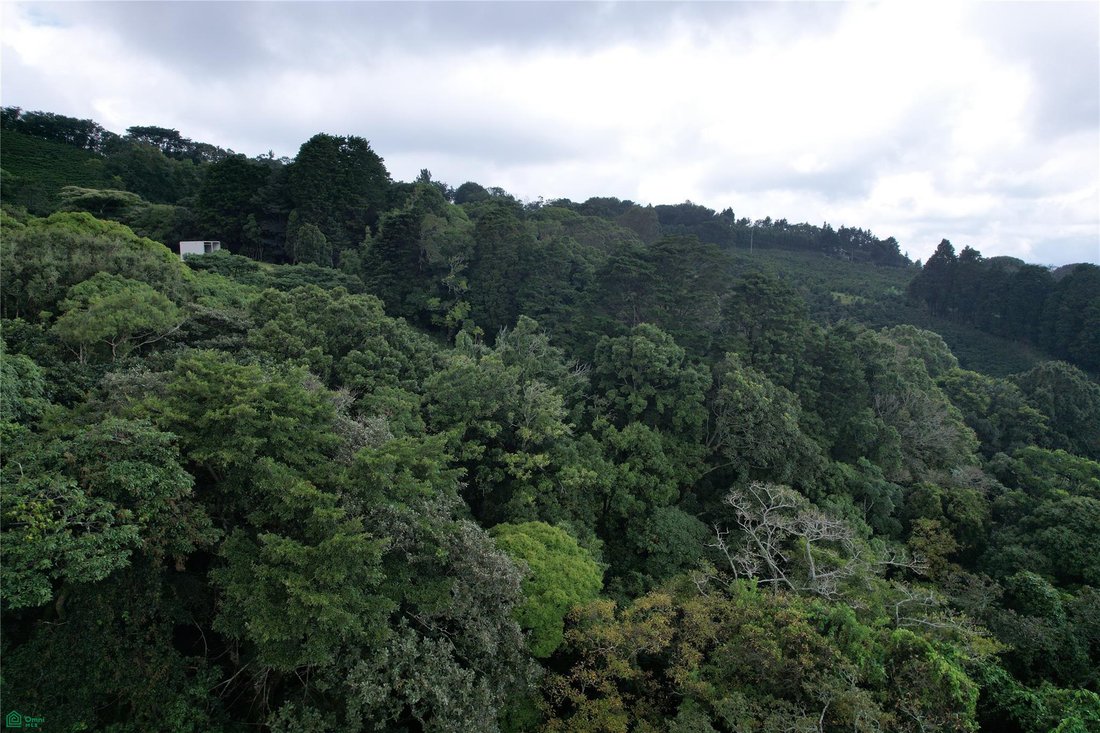 Terreno en Naranjo, Provincia de Alajuela, Costa Rica 5 - 19091897
