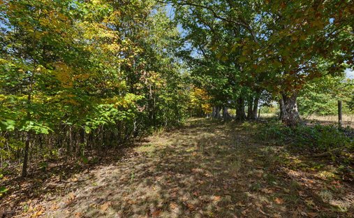 Land in Morning View, Kentucky, Vereinigte Staaten 1
