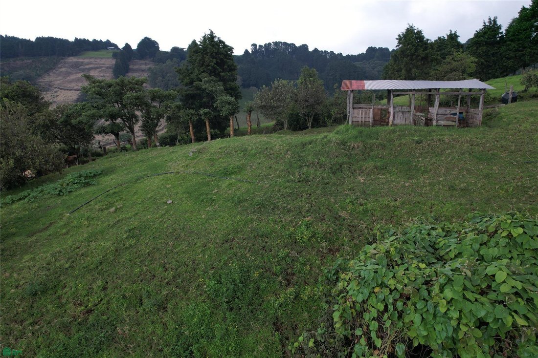 Terreno en Naranjo, Provincia de Alajuela, Costa Rica 3 - 19091897