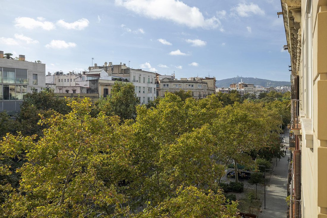 Appartement à Eixample, Barcelone, Espagne 5 - 19137864