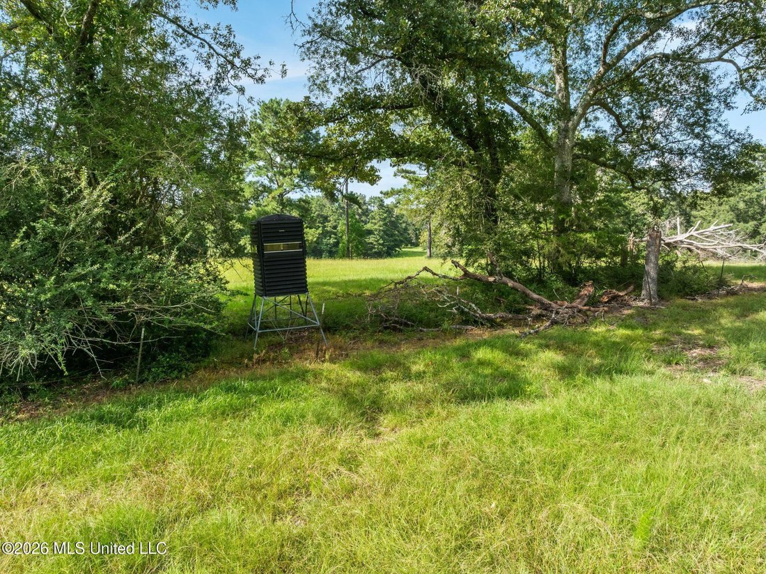 House in Summit, Mississippi, United States 3 - 19139506