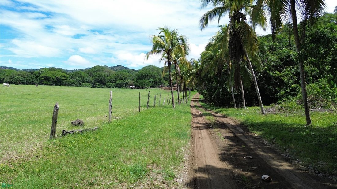 Terrain à San Miguel de Río Blanco, Puntarenas, Costa Rica 3 - 19139241