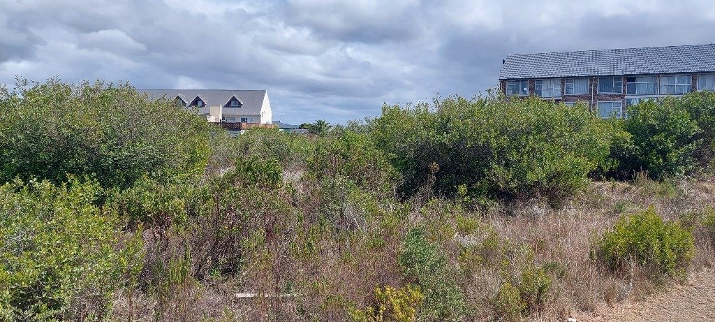 Land in Dana Bay, Western Cape, South Africa 1 - 19141799