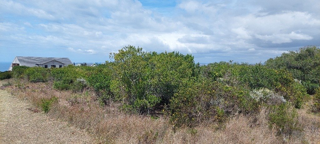 Land in Dana Bay, Western Cape, South Africa 5 - 19141799