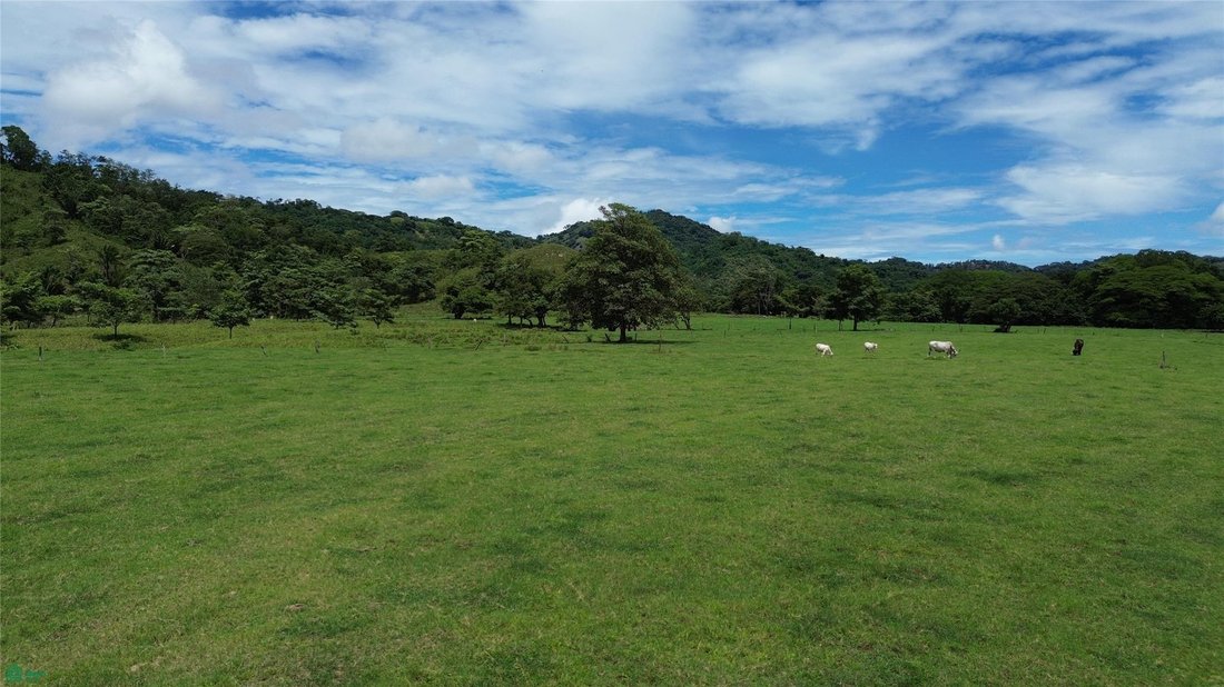 Terrain à San Miguel de Río Blanco, Puntarenas, Costa Rica 1 - 19139241