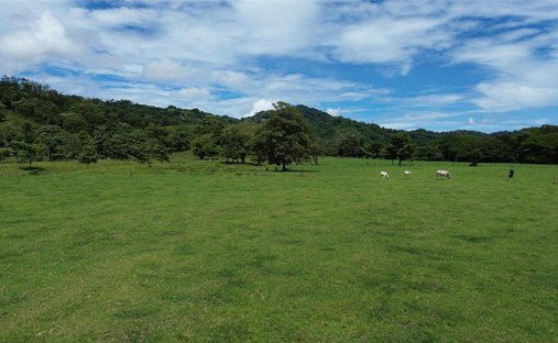 Land in San Miguel de Río Blanco, Provinz Puntarenas, Costa Rica 1