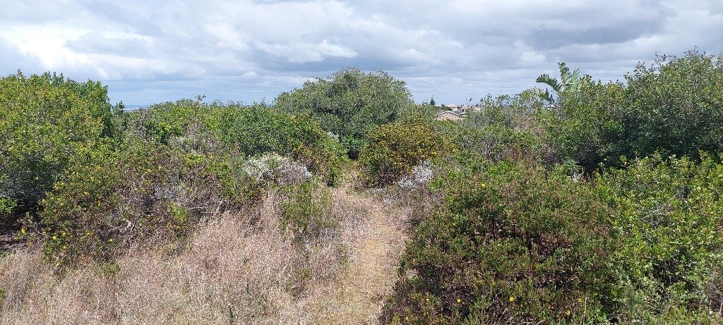 Land in Dana Bay, Western Cape, South Africa 4 - 19141799