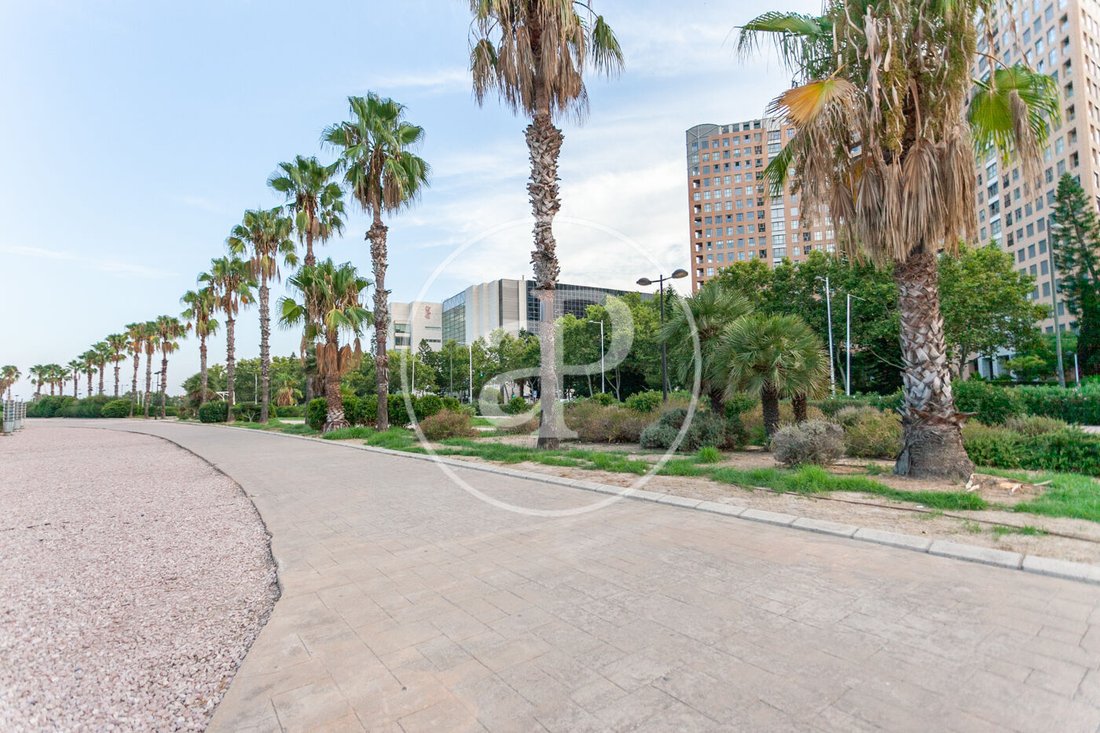 Apartamento en Quatre Carreres, Valencia, España 3 - 19143071
