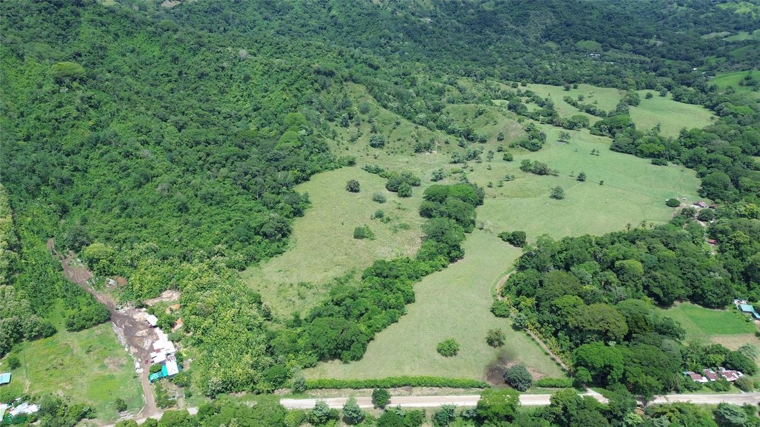 Terrain à San Miguel de Río Blanco, Puntarenas, Costa Rica 5 - 19139241