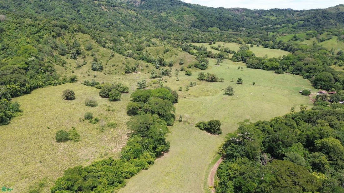 Terrain à San Miguel de Río Blanco, Puntarenas, Costa Rica 4 - 19139241