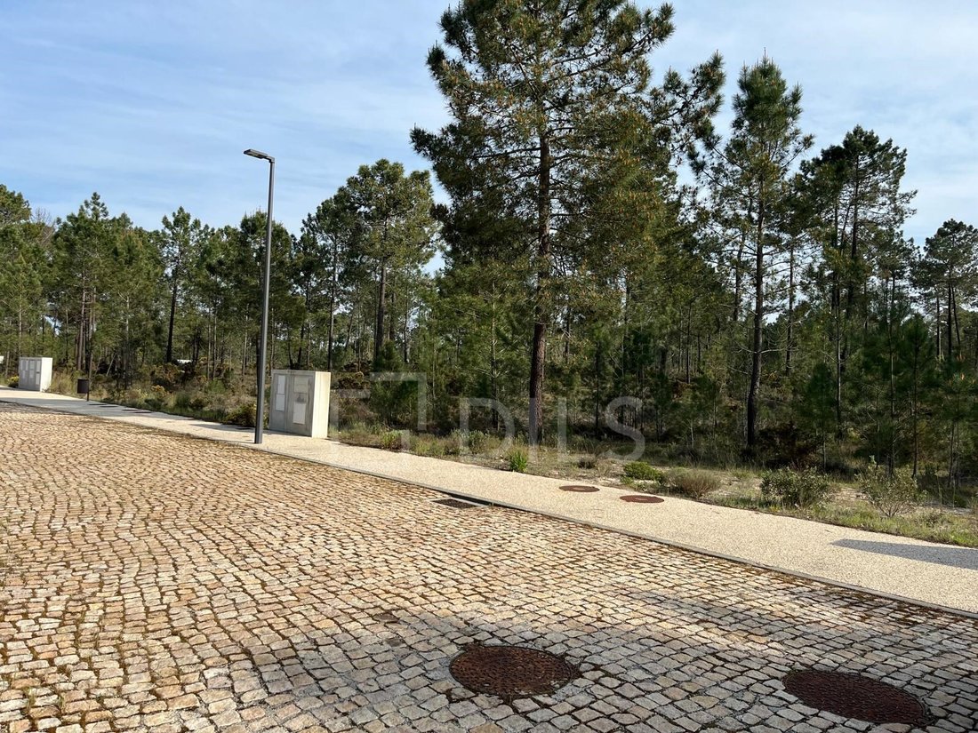 Terreno en Grandola y Santa Margarida da Serra, Setúbal Municipality, Portugal 3 - 19141266
