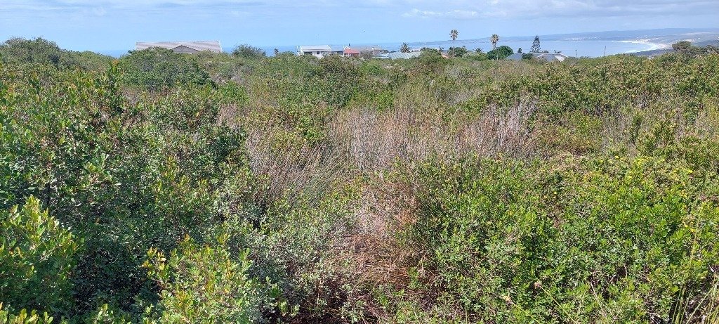 Land in Dana Bay, Western Cape, South Africa 3 - 19141799