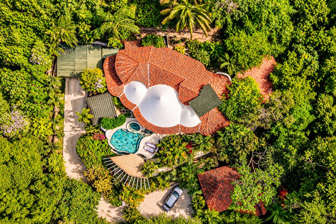 Autres à Cangrejal, Guanacaste, Costa Rica 5 - 19140854