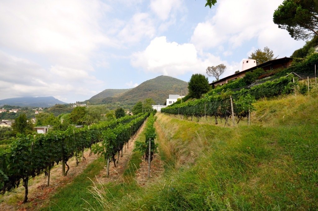 Land in Breggia, Tessin, Schweiz 4 - 19142440
