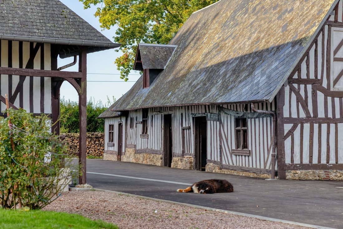 Maison à Pont-l'Évêque, Normandie, France 5 - 19142199