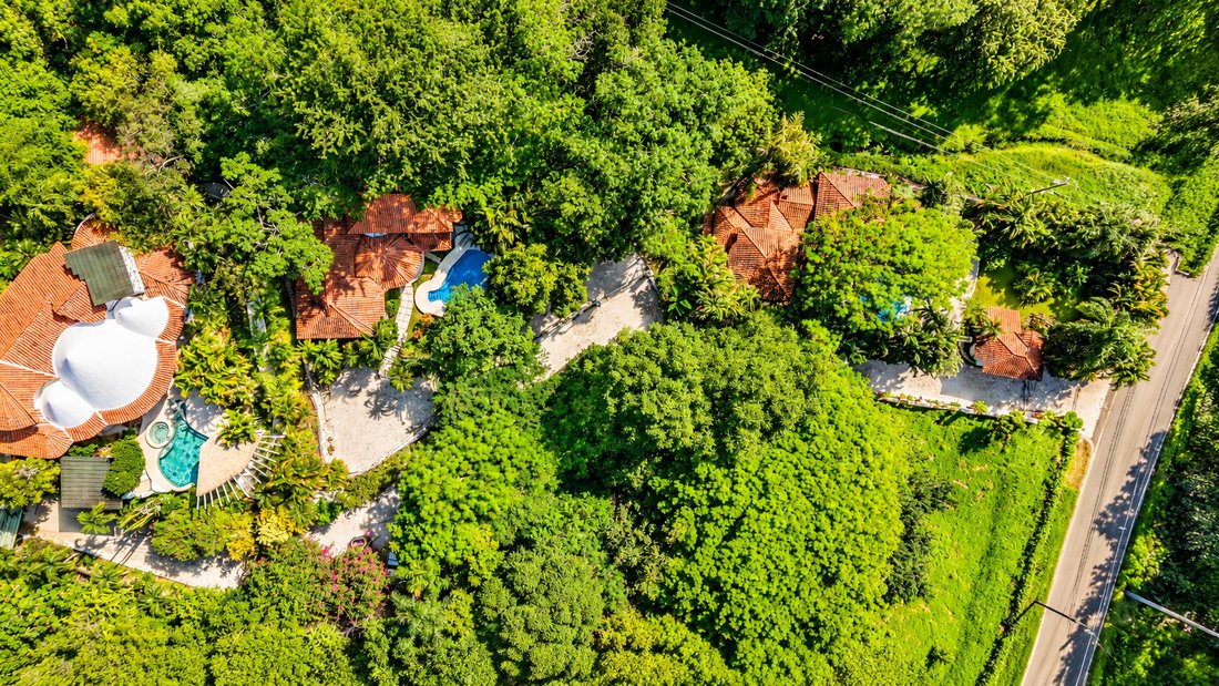 Autres à Cangrejal, Guanacaste, Costa Rica 1 - 19140854
