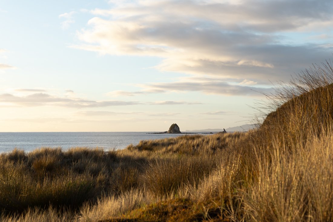 Maison à Mangawhai Heads, Northland, Nouvelle-Zélande 4 - 19139049