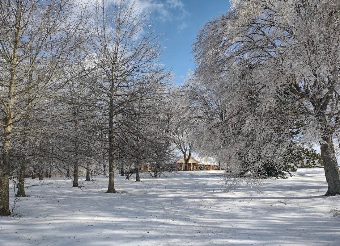 House in Franklin, Kentucky, United States 5 - 19141710