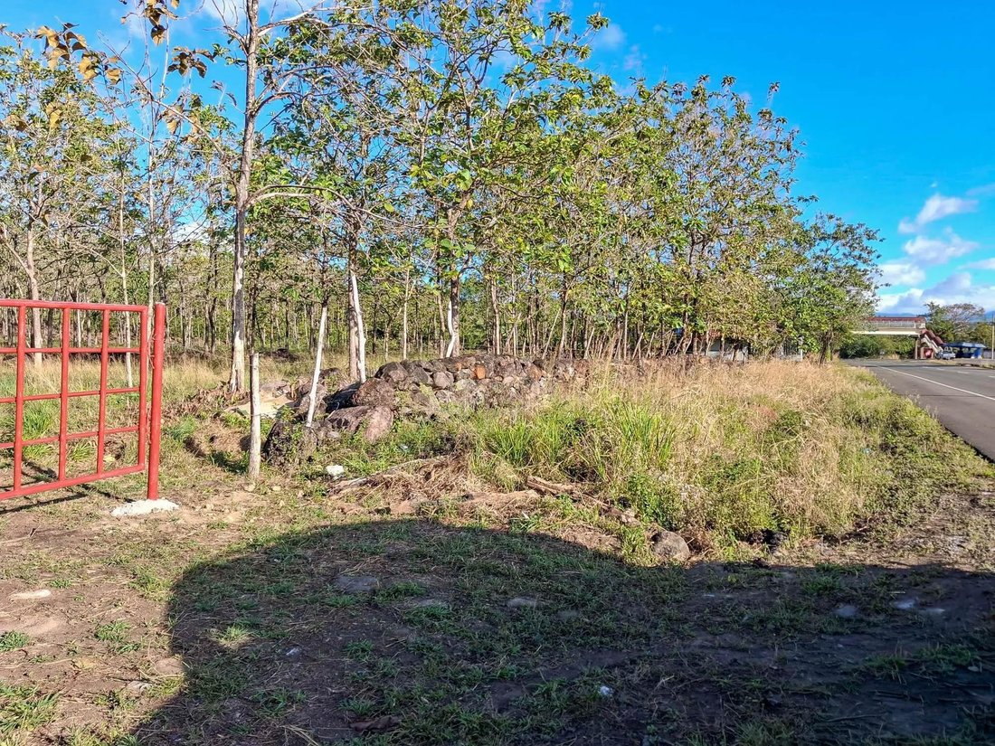 Terrain à Dolega, Chiriquí, Panama 2 - 19142763