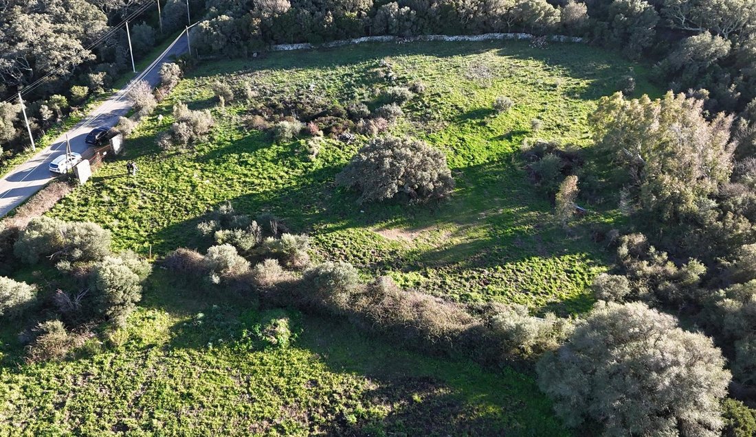 Land in Luogosanto, Sardinia, Italy 5 - 17216885