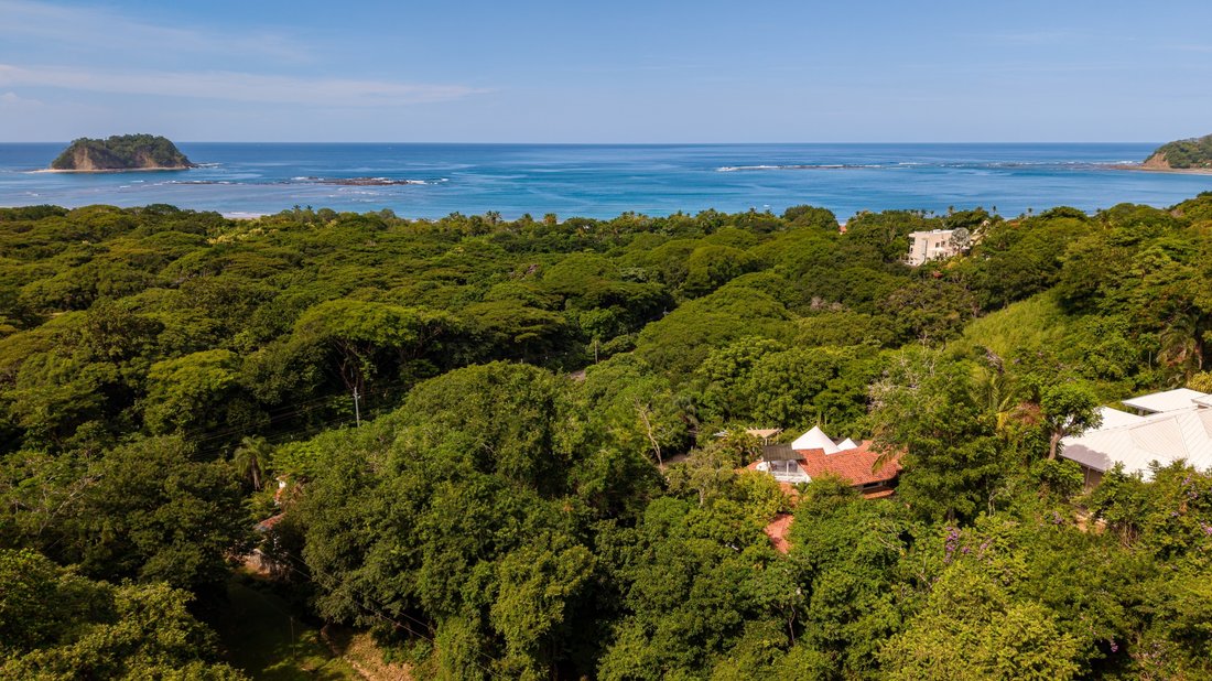 Autres à Cangrejal, Guanacaste, Costa Rica 2 - 19140854