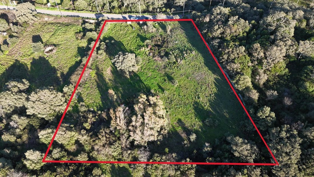 Land in Luogosanto, Sardinia, Italy 4 - 17216885