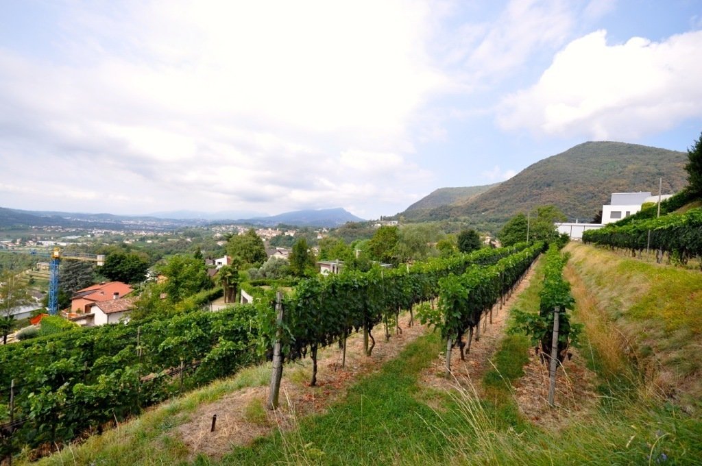 Land in Breggia, Tessin, Schweiz 5 - 19142440