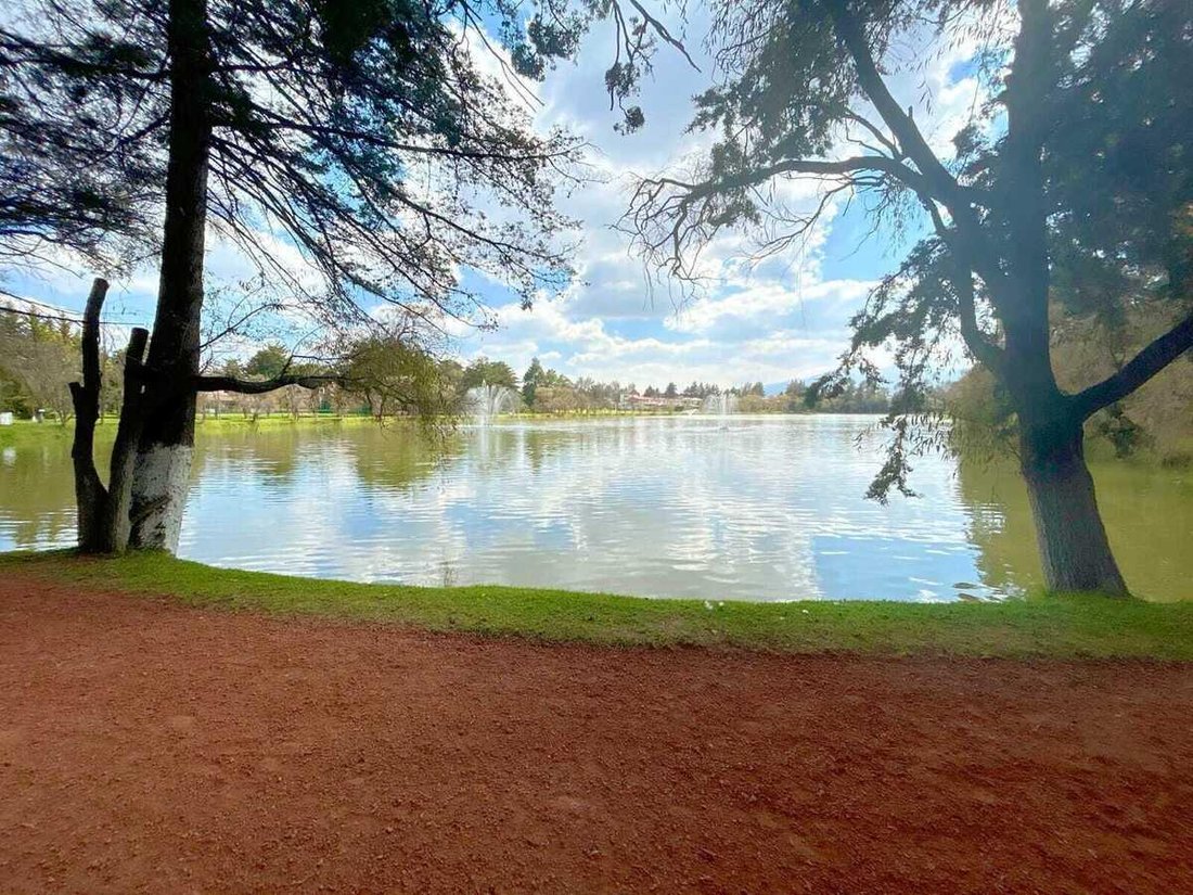 Land in San Miguel Zinacantepec, Bundesstaat Mexiko, Mexiko 4 - 19138898