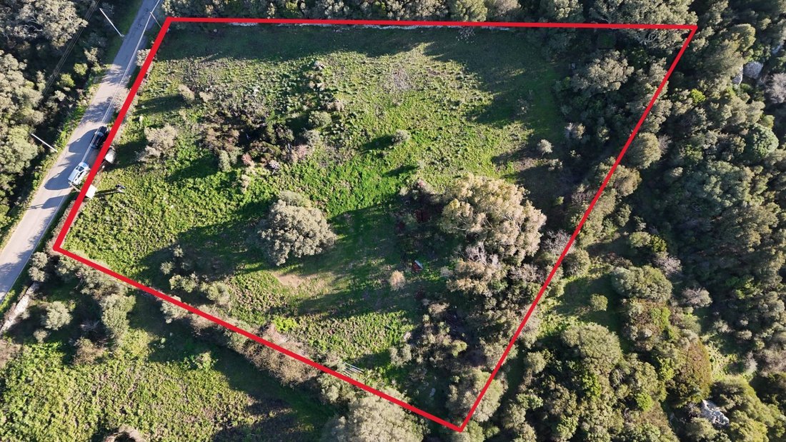 Land in Luogosanto, Sardinia, Italy 3 - 17216885