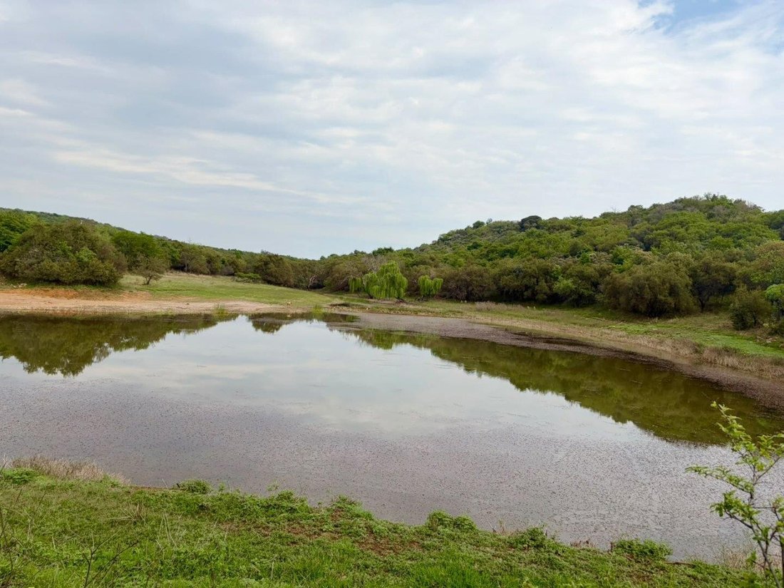 Farm Ranch in Rustenburg Ward 22, Nordwest, Südafrika 2 - 19139659