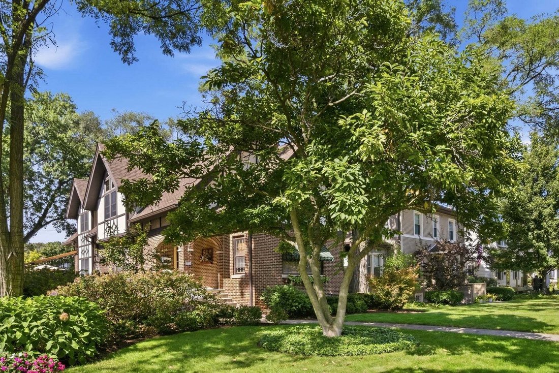 Casa a Park Ridge, Illinois, Stati Uniti 1 - 19142936