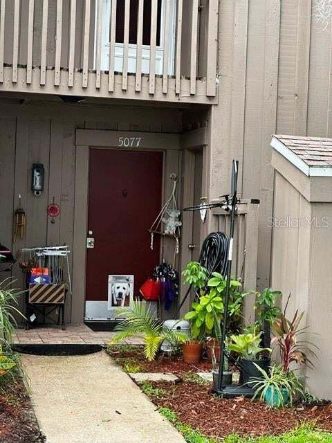 Andere in Orlando, Florida, Vereinigte Staaten 4 - 19139898