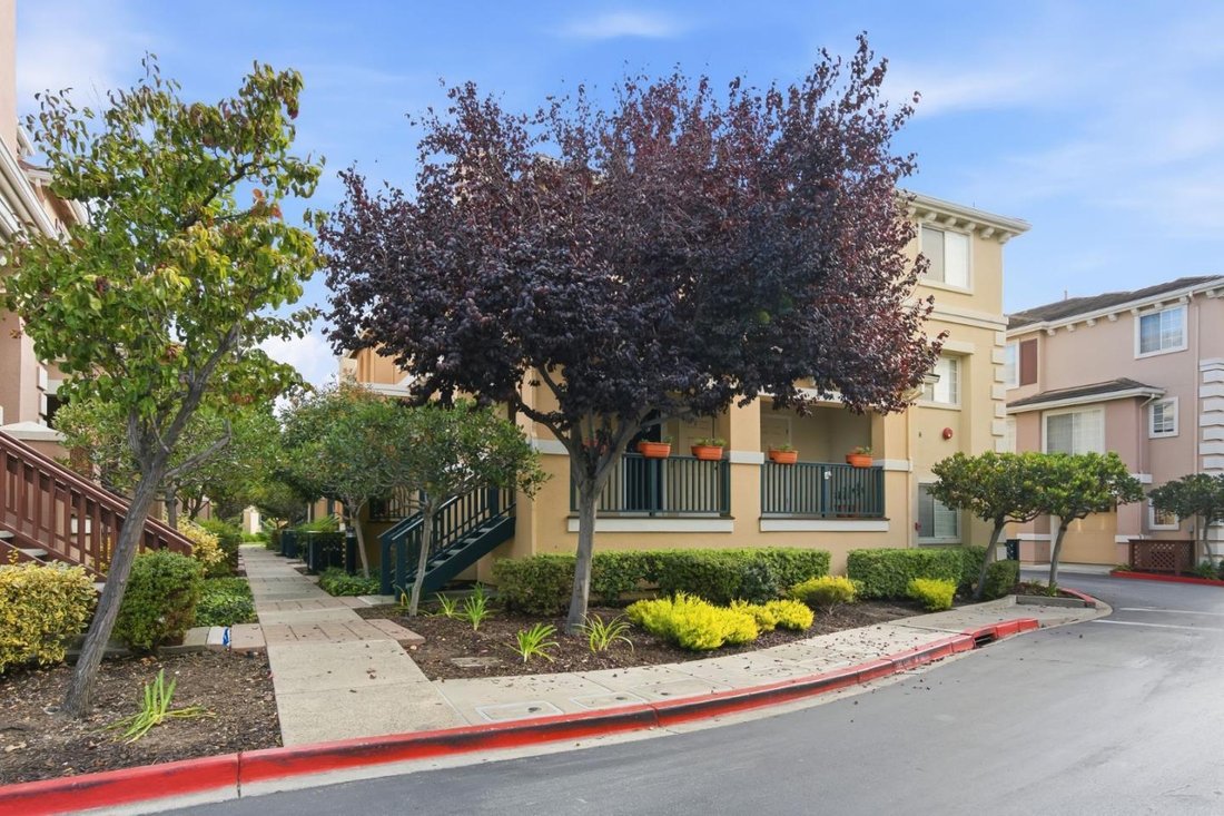 Residenza a Redwood City, California, Stati Uniti 2 - 19139782
