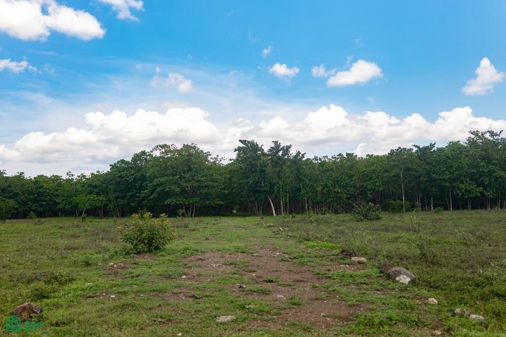 Terrain à Guardia, Guanacaste, Costa Rica 3 - 19089188