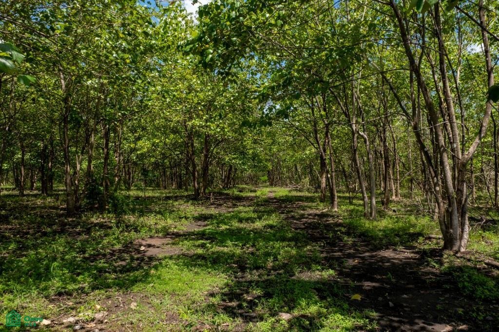 Terrain à Guardia, Guanacaste, Costa Rica 4 - 19089188