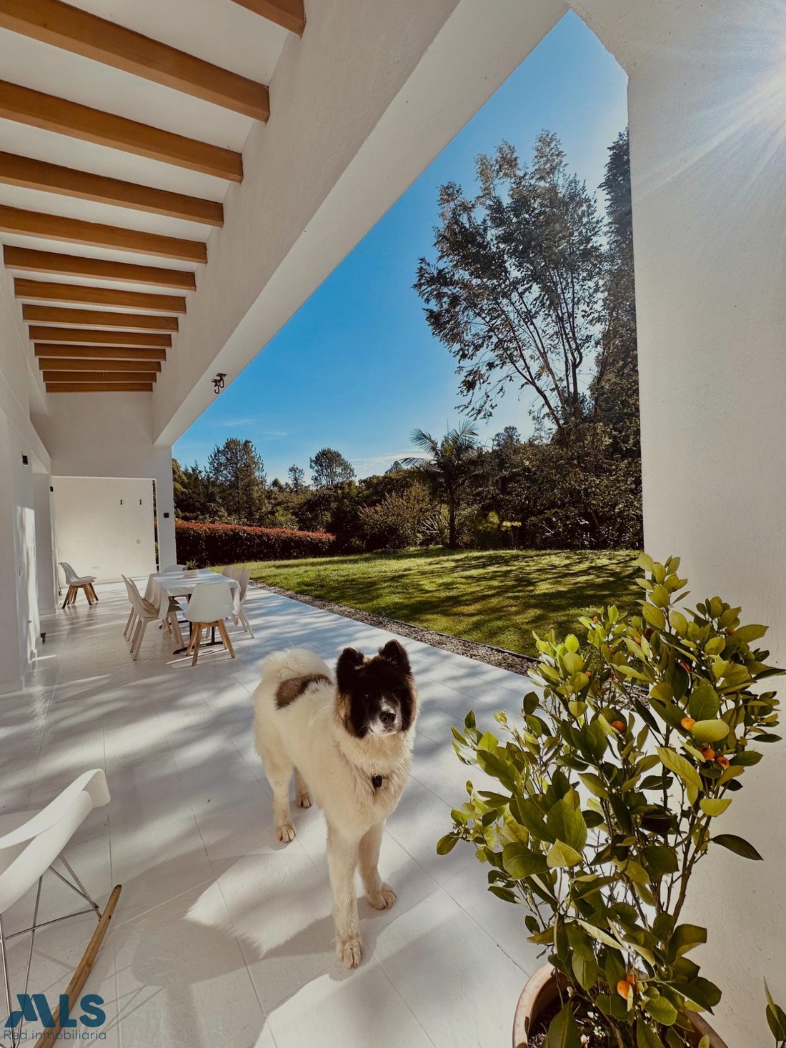House in Envigado, Antioquia, Colombia 5 - 19143022