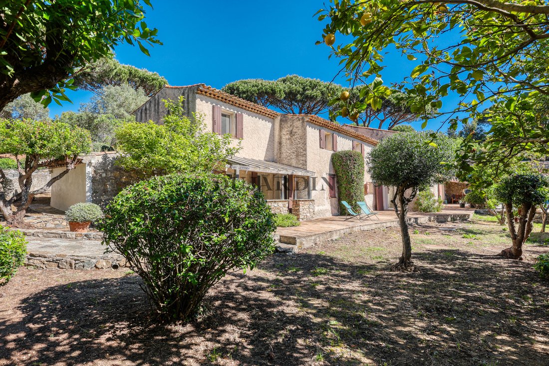 Altro a Ramatuelle, Provenza-Alpi-Costa Azzurra, Francia 1 - 17910923