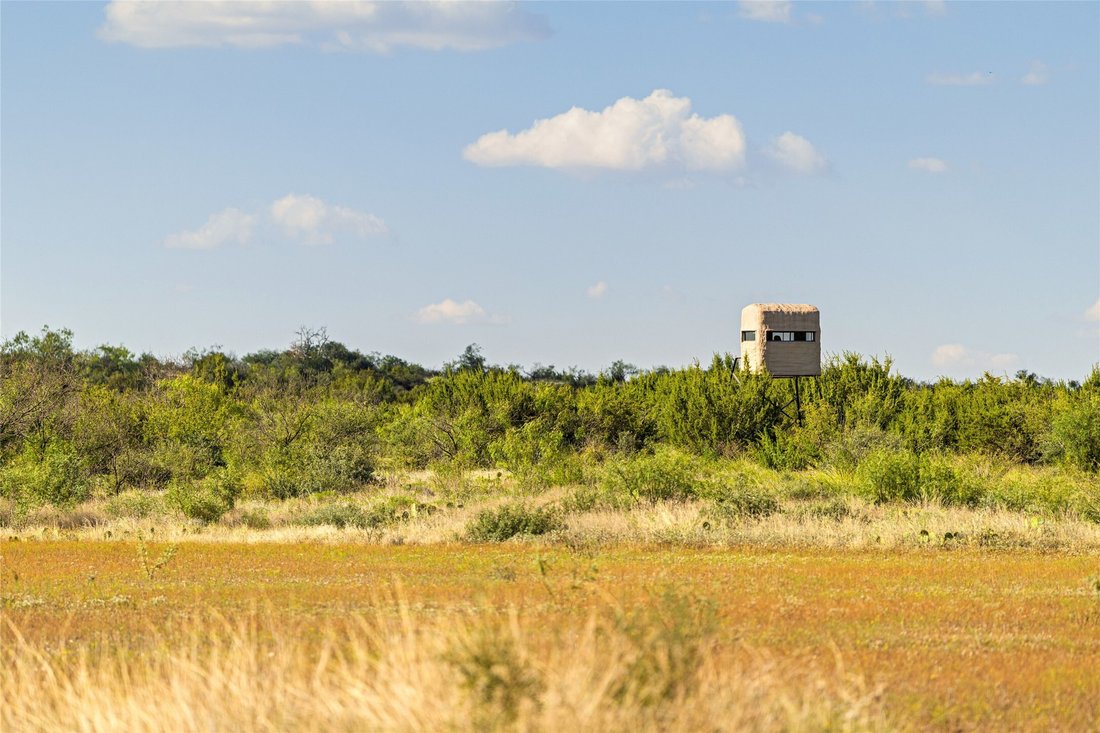 Farm Ranch in Eden, Texas, Vereinigte Staaten 1 - 19141755