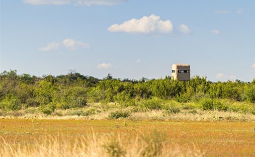 Farm Ranch in Eden, Texas, Vereinigte Staaten 1